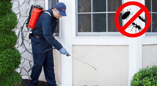 Akyaka Kemirgen İlaçlama böcek ilaçlama ve haşere kontrolü — ilaclama-tr.com
